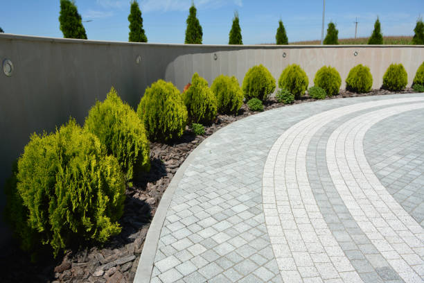 Best Driveway Pavers Near Me  in Fredonia, WI